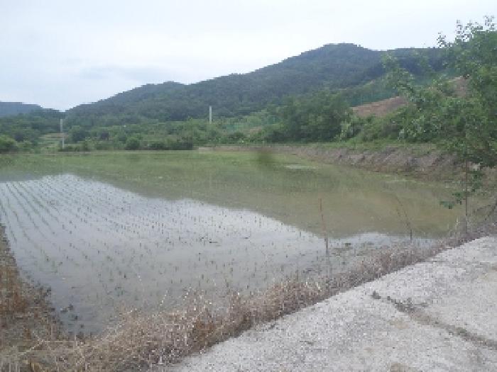목록4. 전경