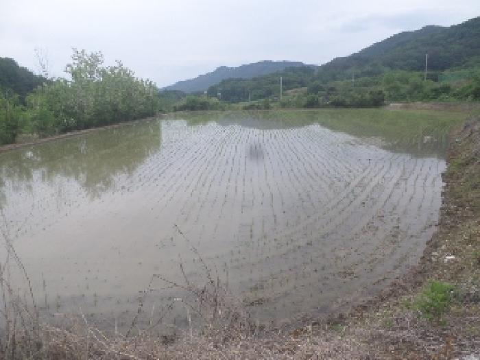 목록4. 전경