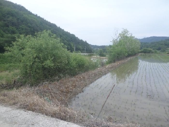 목록4. 전경