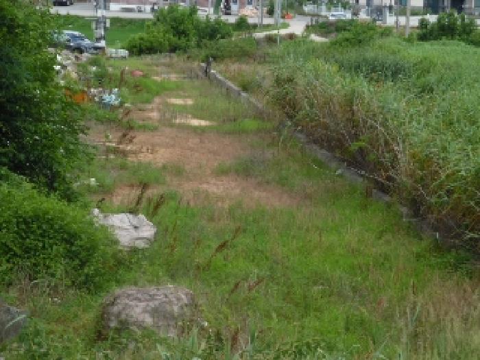 토지(목장용지) 전경(7)