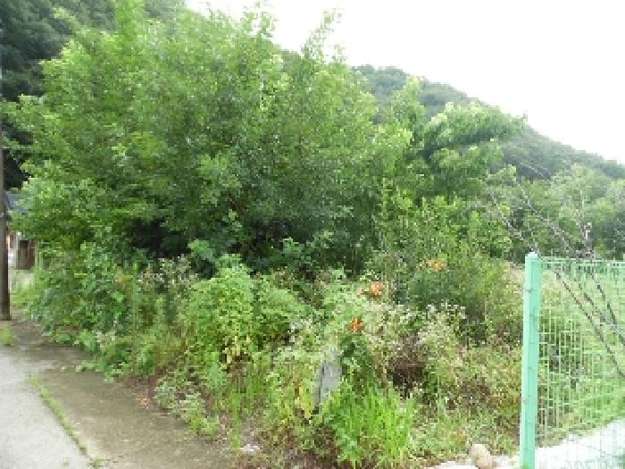 토지(대) 전경(4)