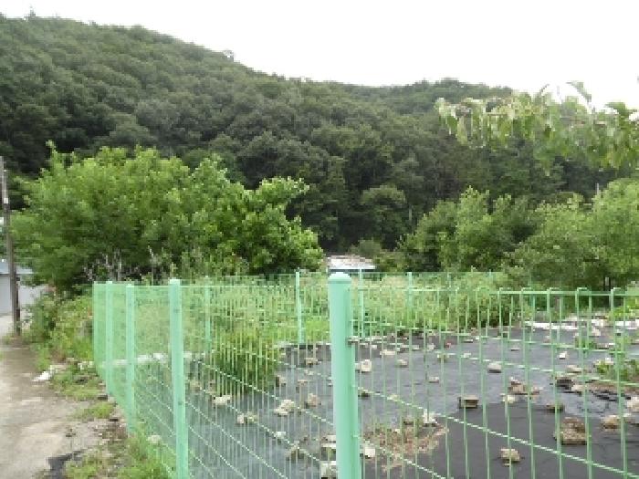 토지(대) 전경(7)