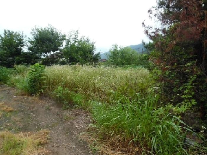 토지(대) 전경(8)