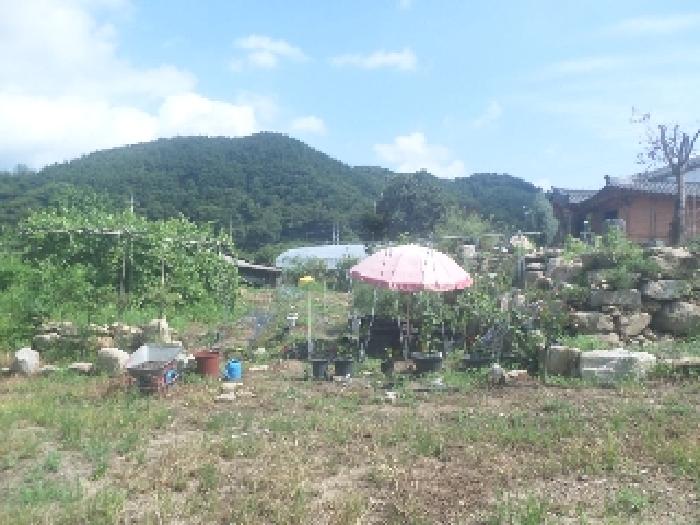 목록2 토지를 목록1 토지에서 바라본 전경