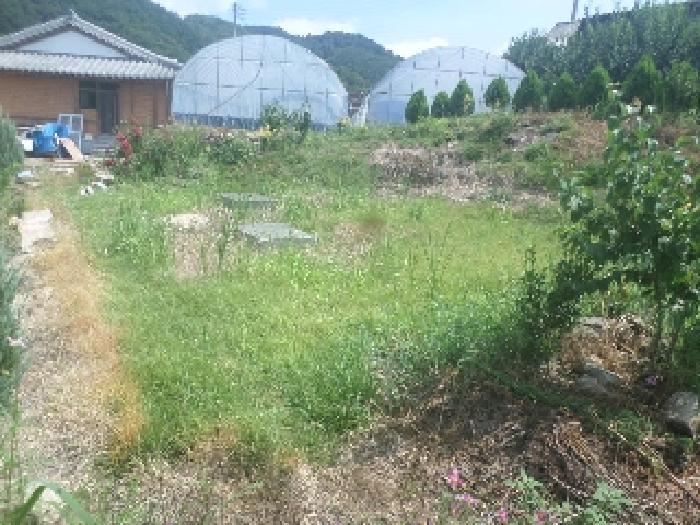 목록1 토지상에 소재하는 분묘 모습