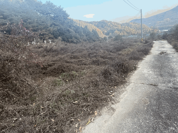 기호2) 토지(북->남)