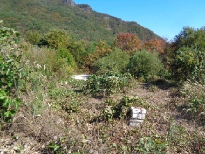 목록3. 시멘트 바닥위로 수풀이 우거진 모습