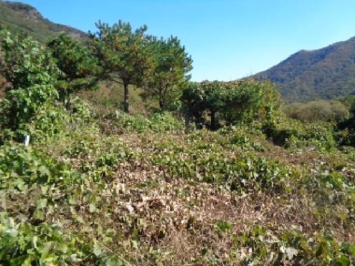 목록6. 시멘트 바닥 또는 구조물 모습