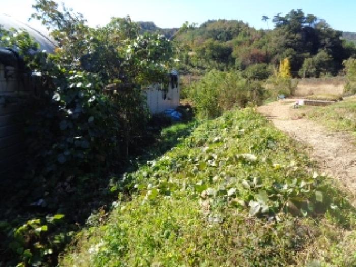 목록5. 도로옆 자투리 토지