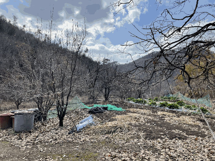 일 련 번 호 1)