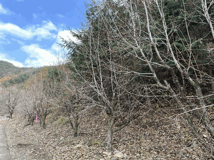 일 련 번 호 3)