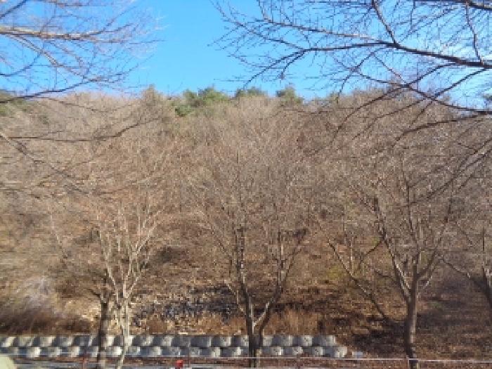 토지 전경 - 멀리서 본 모습