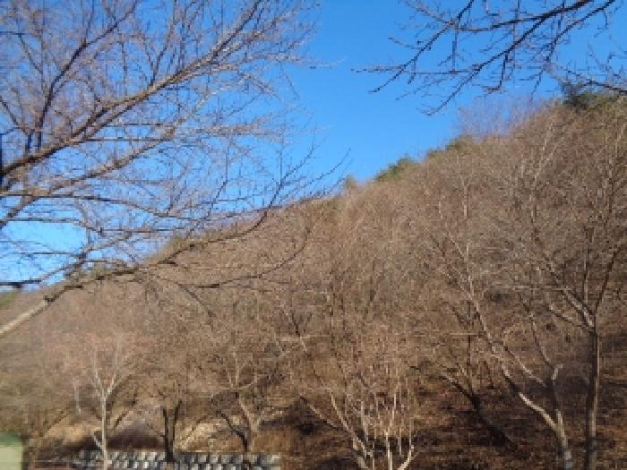 토지 전경 - 멀리서 본 모습