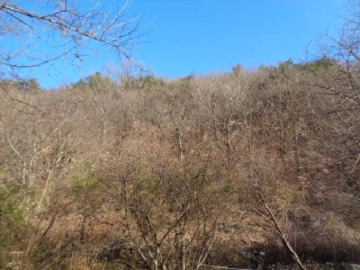 토지 전경 - 멀리서 본 모습
