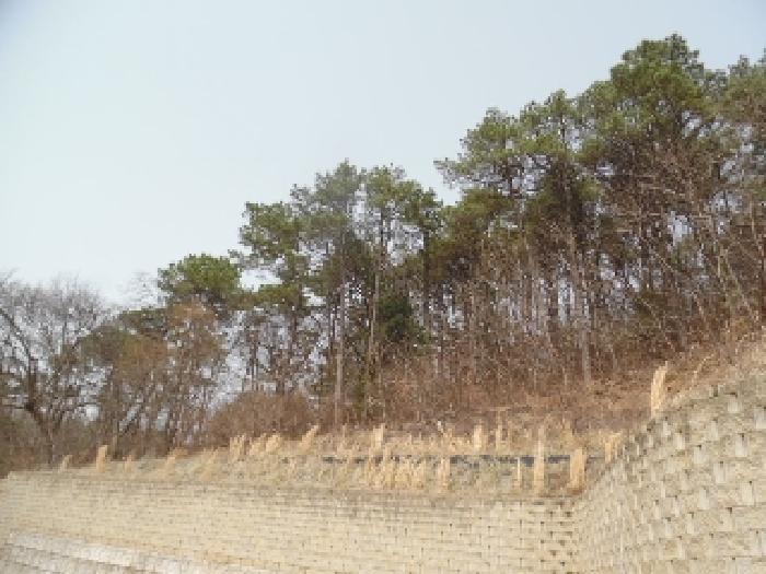 목록1. 임야 전경(3)