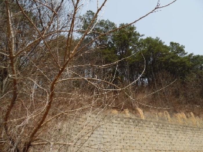 목록1. 임야 전경(1)
