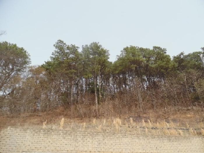 목록1. 임야 전경(2)