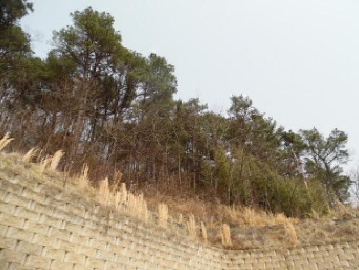목록9. 임야 전경(1)