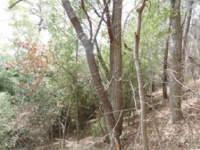 목록7. 임야 전경(1)