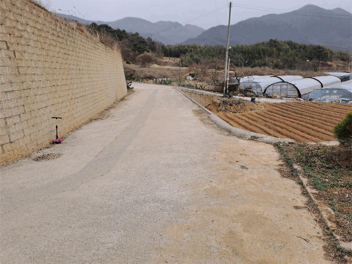 <본건 전경)