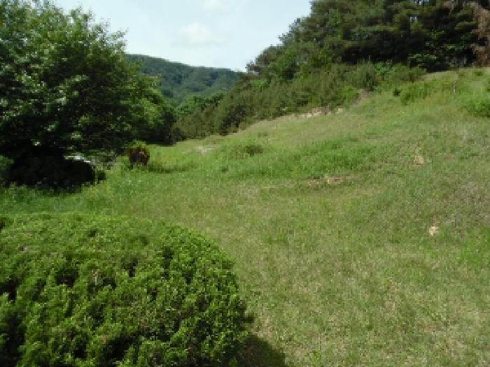 토지(전) 전체 전경(4)