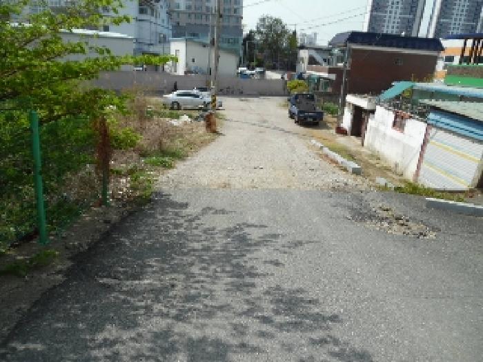 본건 토지(답) 전경(4)