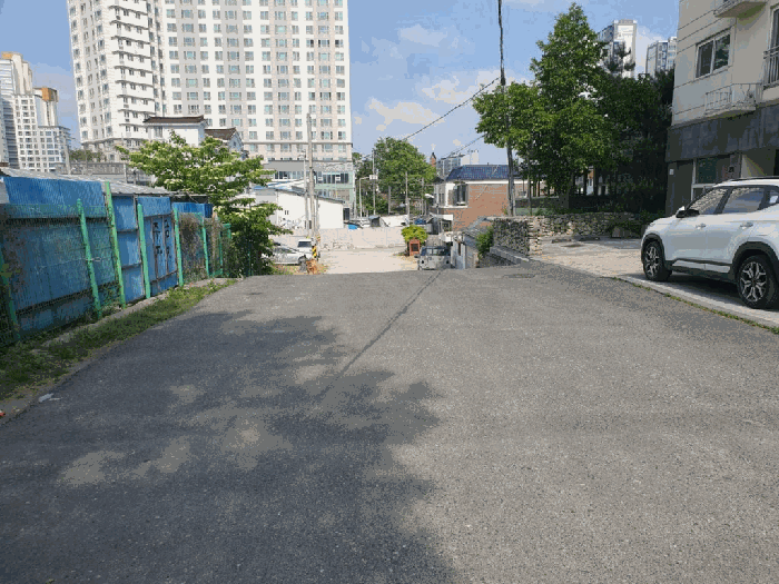 감정서 표지사진
