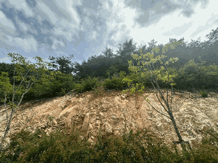 일련번호 1) 전경