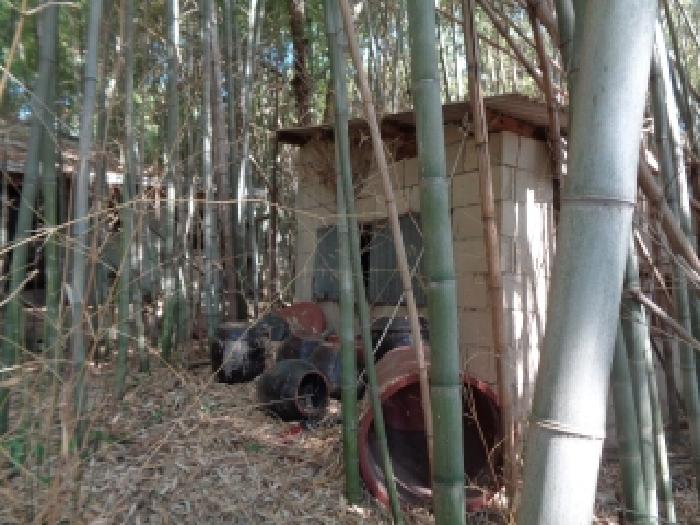 목록3의 허물어진 주택, 창고 전경