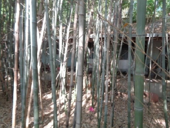 목록3의 허물어진 주택, 창고 전경