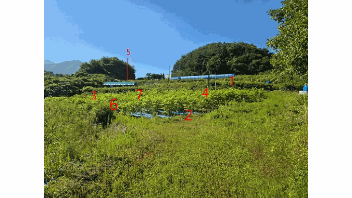 2025타경31481
