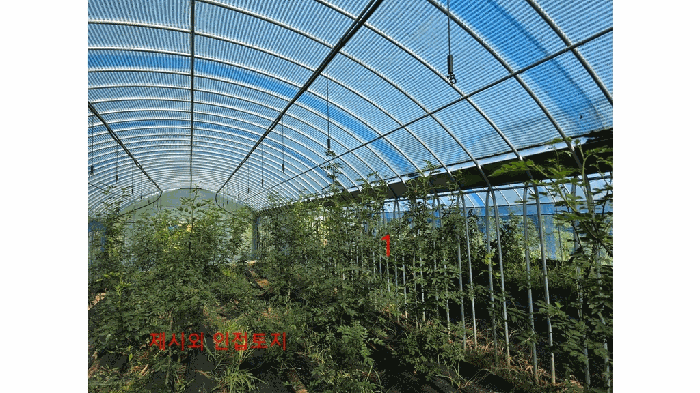 2025타경31481