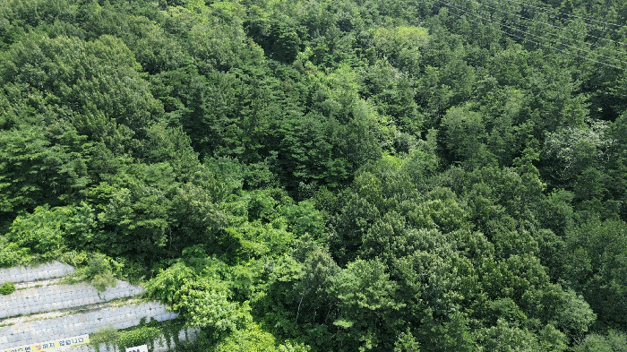 본건전경