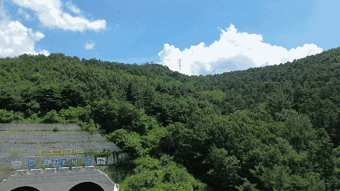 본건전경