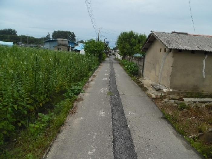 2025타경31543