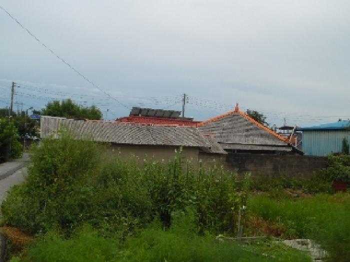 2025타경31543
