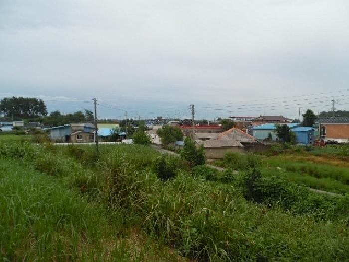 2025타경31543