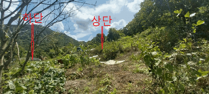 상단상황(북측에서 촬영)