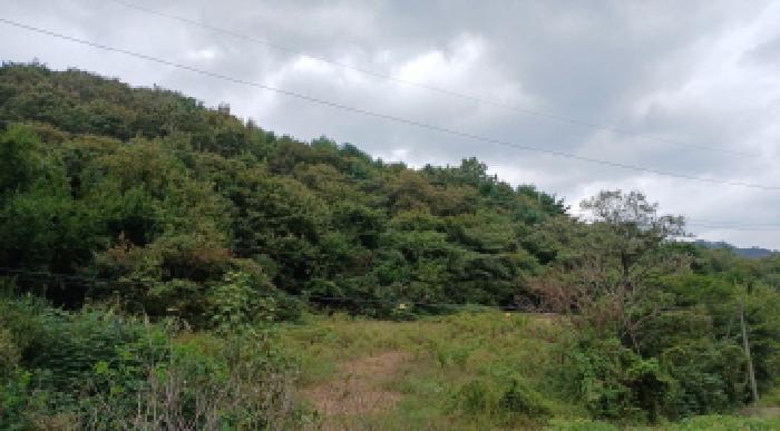 목록2 토지 전경