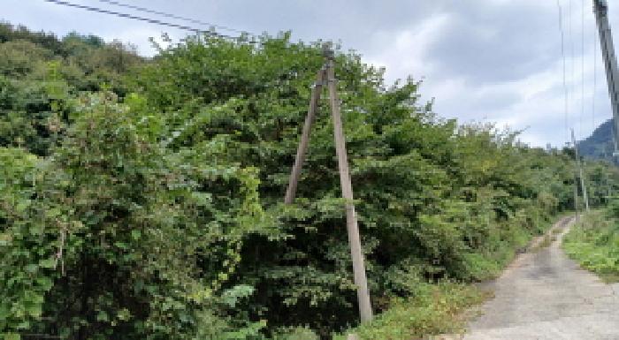 목록2 토지 일부 현황 도로부분과 경계부근 모습
