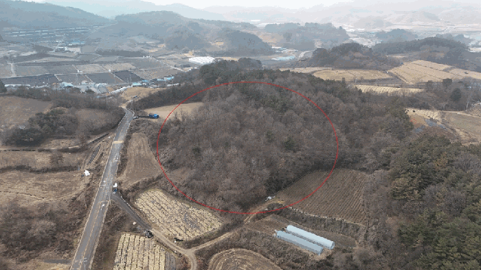 본 건 주 위 전 경