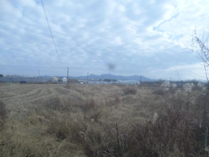 목록1 토지 전경 2.