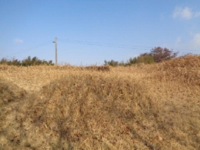목록1. 연고자 미상의 분묘 2기