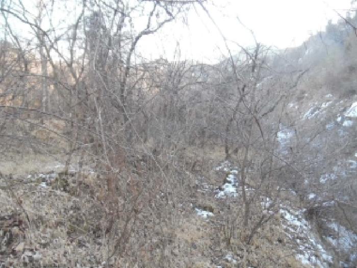 본건 전경사진