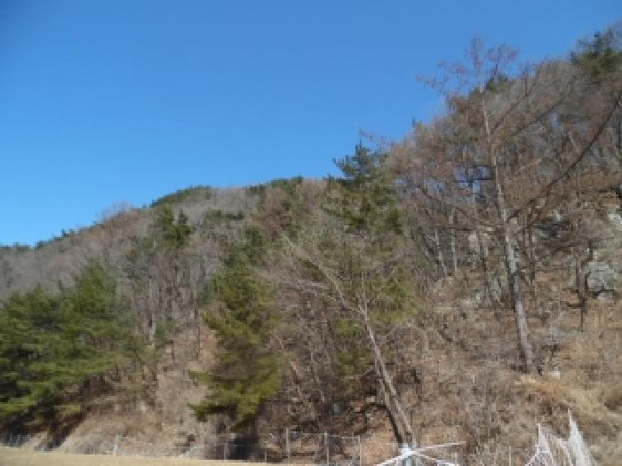 목록1 전경사진