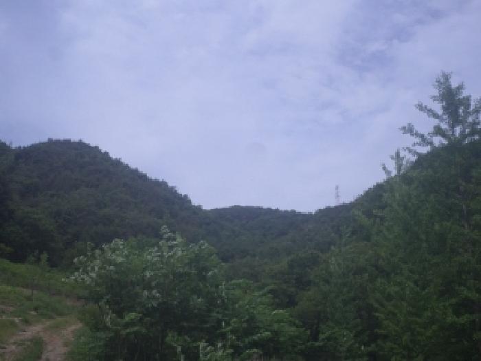 목록 1,2,3 토지 전체의 원거리 전경