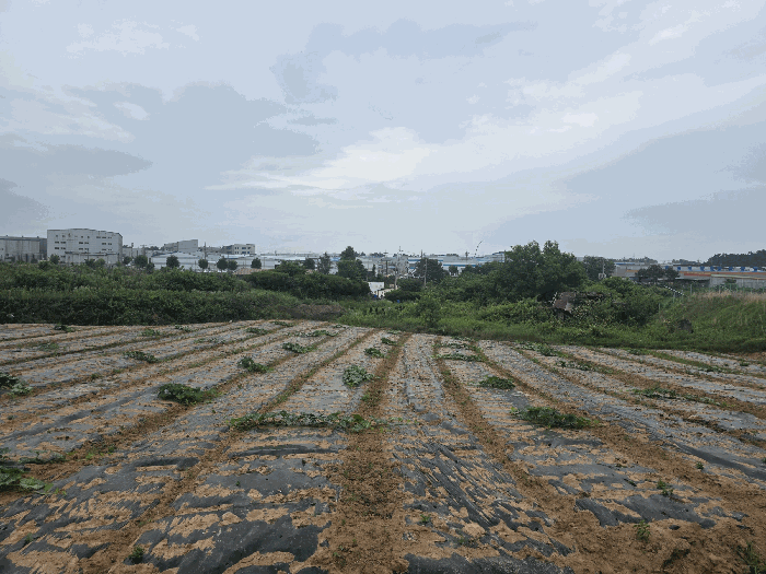 대상물건(일련번호 2) 전경