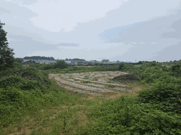 대상물건(일련번호 1~4) 전경