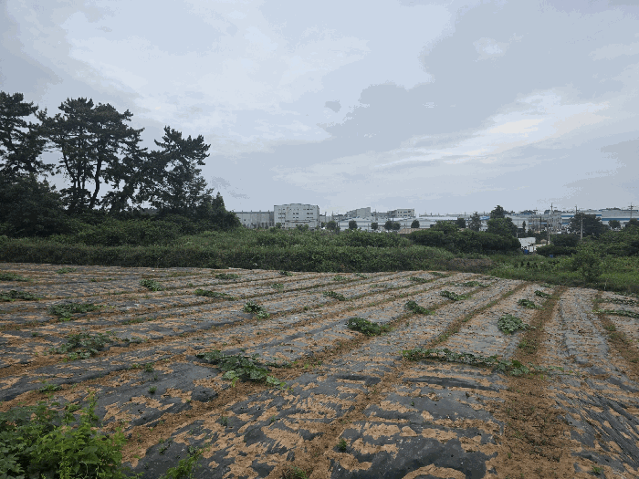 대상물건(일련번호 3) 전경