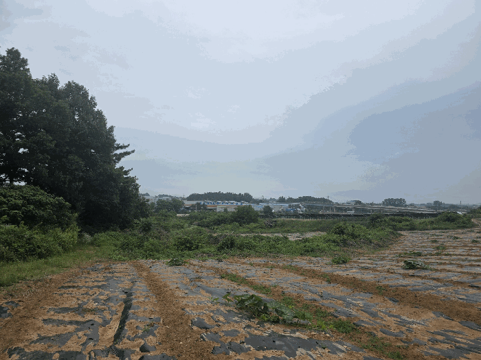 대상물건 주변 전경